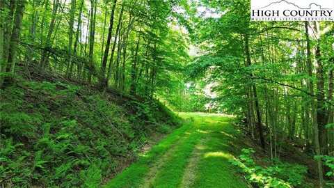 Lot 13 Larkspur Road, Beech Mountain, NC 28622