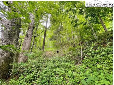 Tbd Ben Bolen Road, Creston, NC 28615