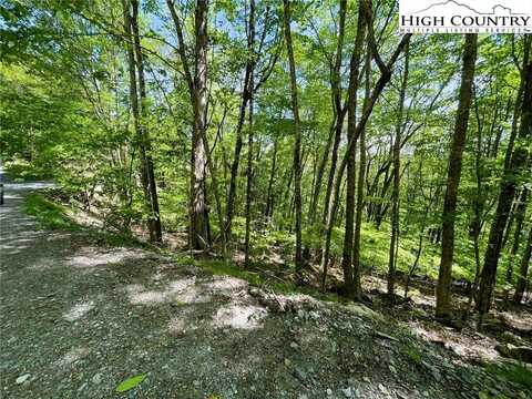 234/236/135 Lakeledge Road Circle, Beech Mountain, NC 28604