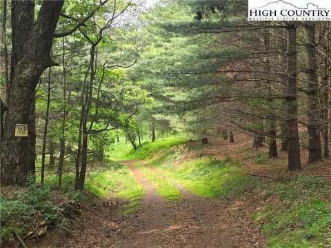 137 C and M Lane, Laurel Springs, NC 28644