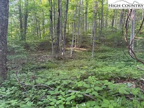 Lot 59 Beechwood Circle, Creston, NC 28615