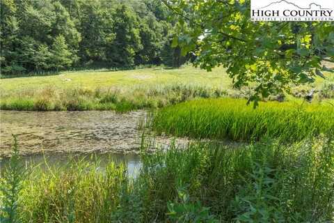 Tract 2,Lots 1 & 2 Wyeth Drive, Blowing Rock, NC 28605