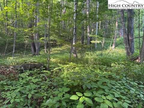 Lot 58 & 59 Beechwood Circle, Creston, NC 28615
