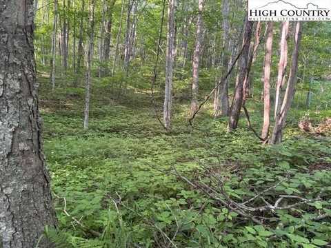 Lot 58 Beechwood Circle, Creston, NC 28615
