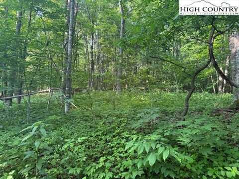 Lot 10 Billy Bob Lane, Creston, NC 28615