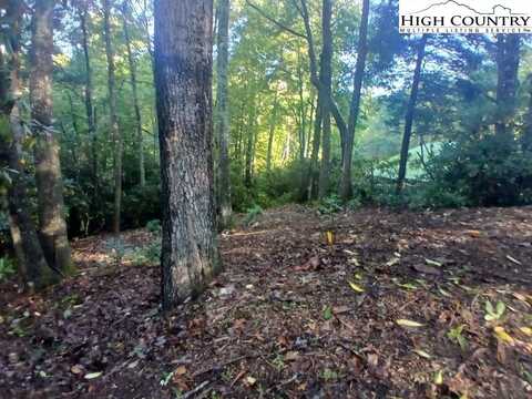 59 Woodpecker Lane, Newland, NC 28657