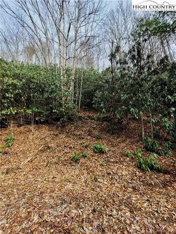 118 Deergrass Road, Beech Mountain, NC 28604