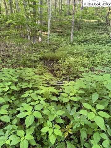 Lot 57 Beechwood Circle, Creston, NC 28615