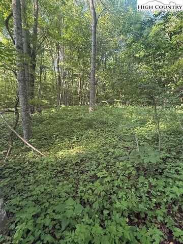 Lot 10 & 11 Billy Bob Lane, Creston, NC 28615