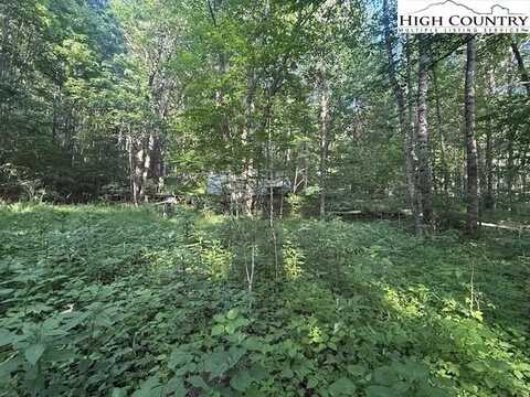 Lot 11 Billy Bob Lane, Creston, NC 28615