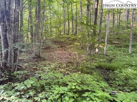 Lot 56 Beechwood Circle, Creston, NC 28615