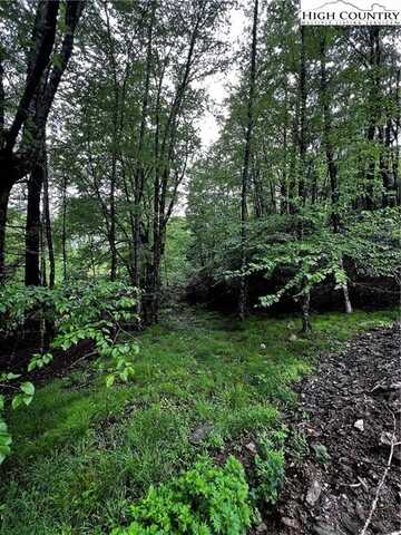 Lot 40 E Cielo Road, Blowing Rock, NC 28605