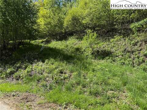 6 Wakeman Way, Banner Elk, NC 28604