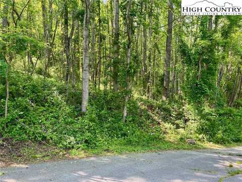 Tbd Valley Stran Drive, Boone, NC 28607