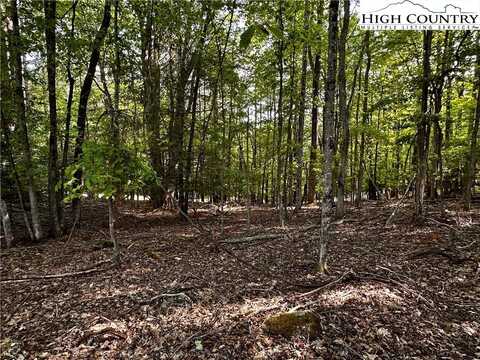 805 Pine Ridge Road, Beech Mountain, NC 28904