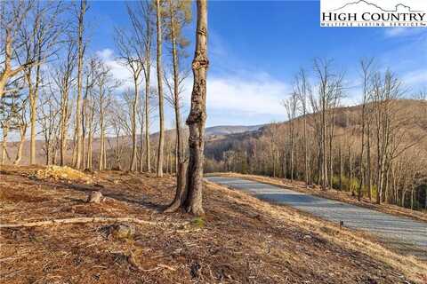Wr-16 Firethorne Lane, Elk Park, NC 28622
