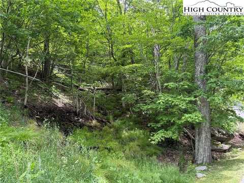 Tbd Wakeman Way, Banner Elk, NC 28604