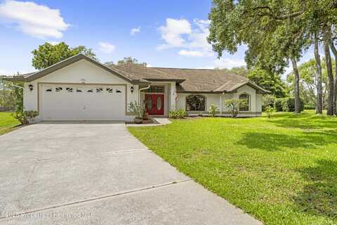 206 Forest Wood Court, Spring Hill, FL 34609
