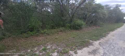 undefined, Ridge Manor, FL 33597