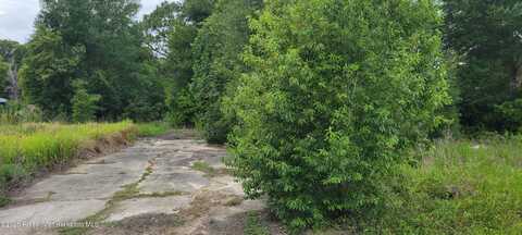 Emerald Drive, Ridge Manor, FL 33523