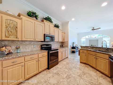 13417 Whitehaven Court, Spring Hill, FL 34609