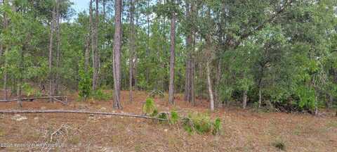 undefined, Citrus Springs, FL 34434