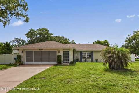 1038 Shenandoah Lane, Spring Hill, FL 34606