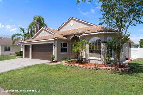 1862 Wood Bend Street, Tarpon Springs, FL 34689