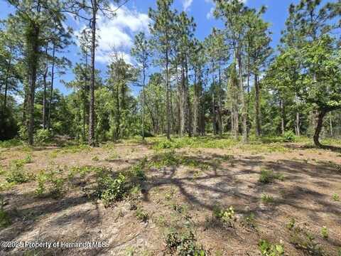 undefined, Weeki Wachee, FL 34614