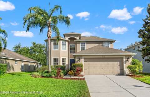 12118 Luftburrow Lane, Hudson, FL 34669