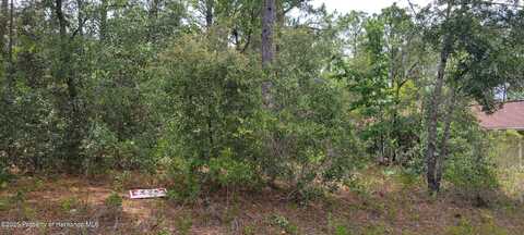 undefined, Citrus Springs, FL 34434