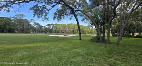 2429 Birdie Lane, Spring Hill, FL 34606