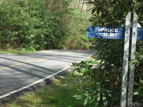 Lt 208 W Christy Trail, Sapphire, NC 28774
