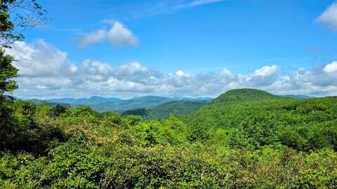 71 Raptor Way, Sapphire, NC 28774