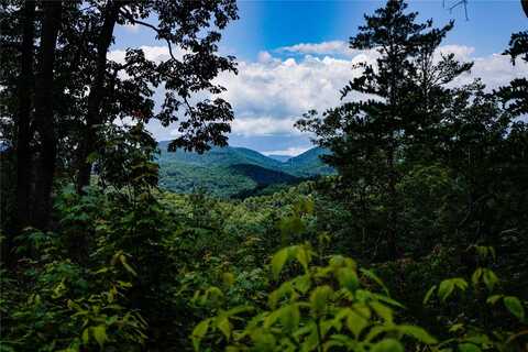 51 Lt 51 Winter Green Dr Drive, Glenville, NC 28736