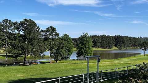 11786 CR 4401, Larue, TX 75770