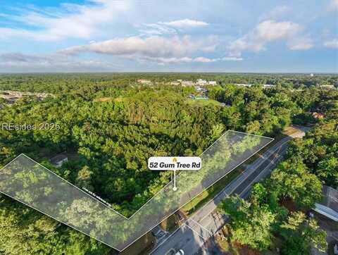 52 Gum Tree Road, Hilton Head Island, SC 29926
