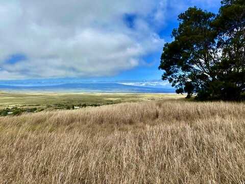 62-1750 OHIAKU PL, Kamuela, HI 96743