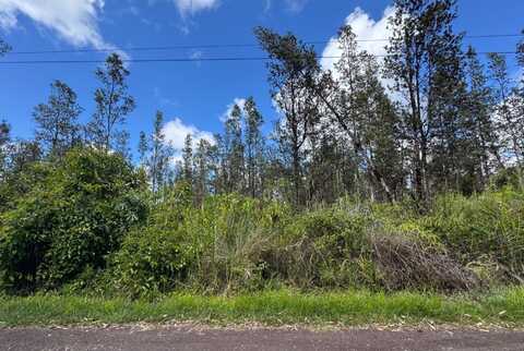16-1955 OOAA RD, Mountain View, HI 96760