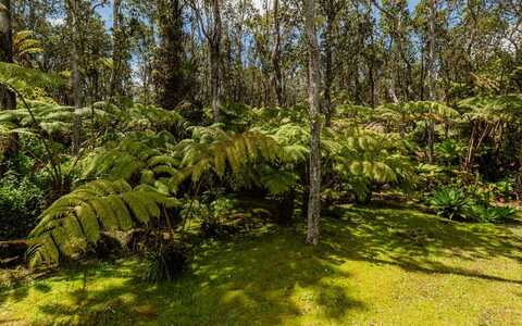 11-3302 ALA OKI PL, Volcano, HI 96785
