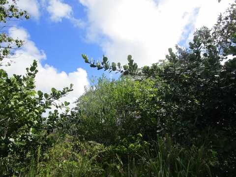 12TH AVE, Keaau, HI 96749