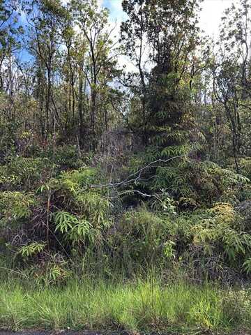 HENO ST, Volcano, HI 96785