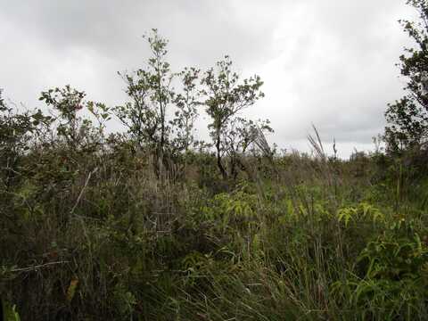 OMEKA RD, Volcano, HI 96785