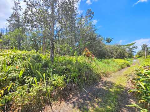 ROAD 9 (KOLOA MAOLI), Mountain View, HI 96760
