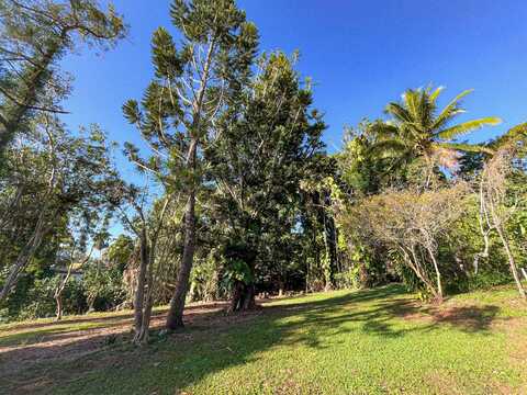6546-d KUAMOO RD, Kapaa, HI 96746