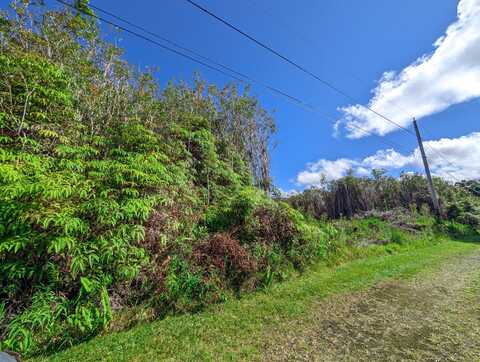 HAWAII ST, Mountain View, HI 96771