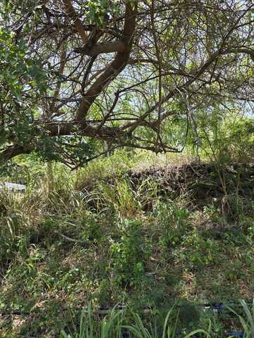 MAUKA ST, Naalehu, HI 96772