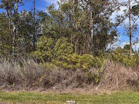 UILANI DR, Pahoa, HI 96778