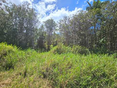 ROAD 9 (KOLOA MAOLI), Mountain View, HI 96760