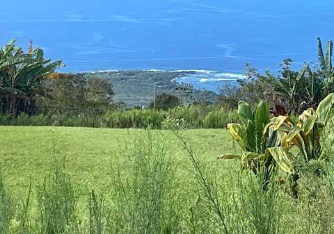 PRIVATE RD, Captain Cook, HI 96704